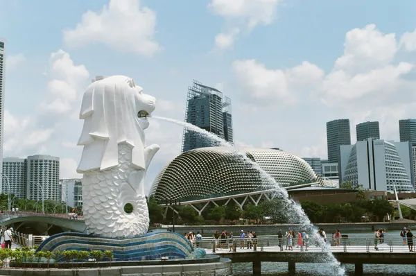 Gardens by the Bay: A 2024 Strategy Guide